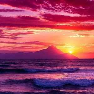 Meet your Posher, Roberta